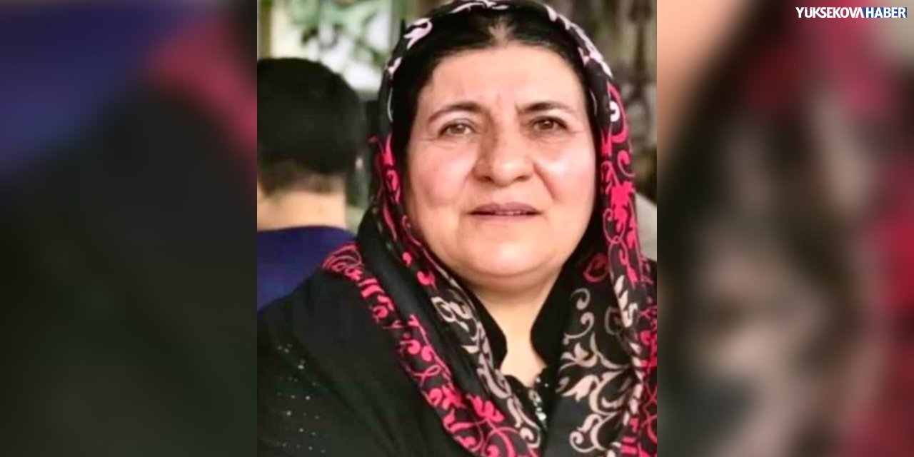 Yüksekova’da Nehari Karaman hayatını kaybetti
