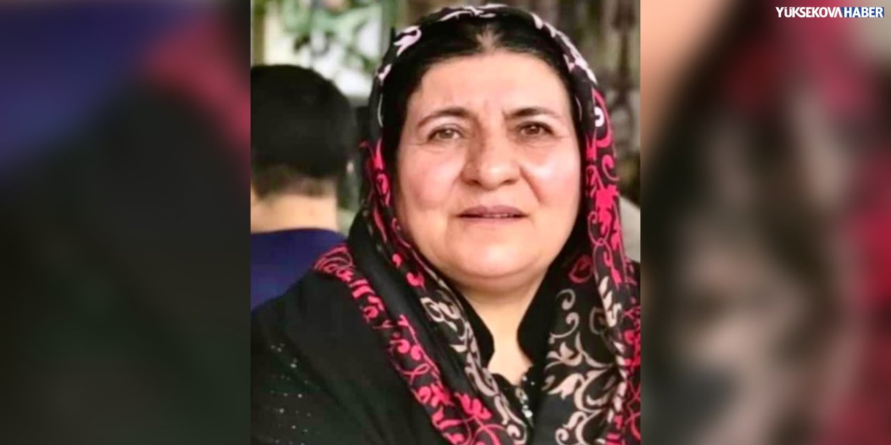 Yüksekova’da Nehari Karaman hayatını kaybetti
