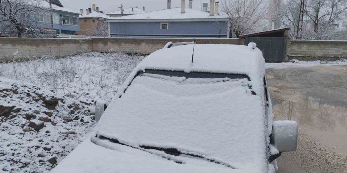 Erciş'te nisan ayında her yer beyaza büründü