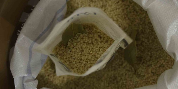 ‘Karacadağ pirinci’ dünya piyasası yolunda