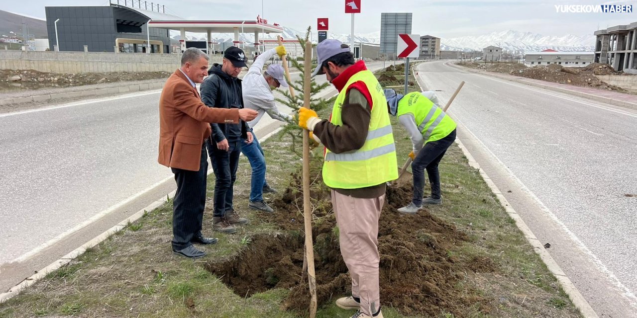 Yüksekova–Şemdinli yolunda ağaçlandırma çalışması