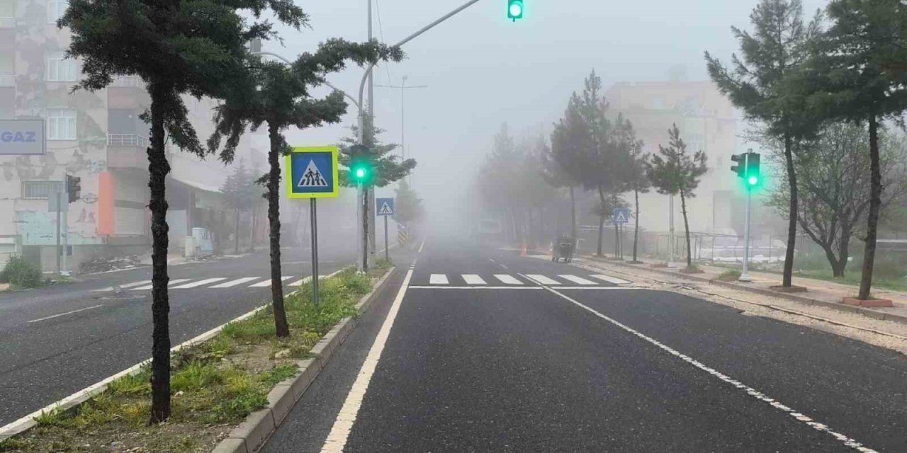 Diyarbakır’da sis etkili oldu