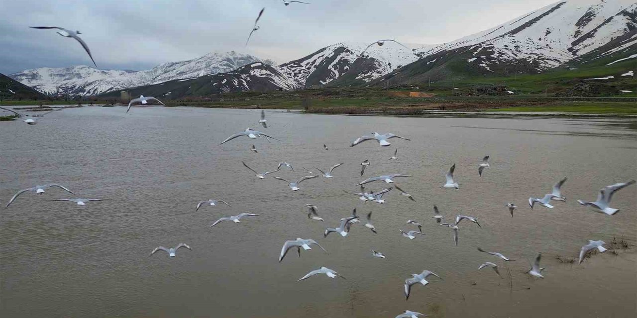 Bitlis’teki Güzeldere Menderesleri adeta doğal göl oldu