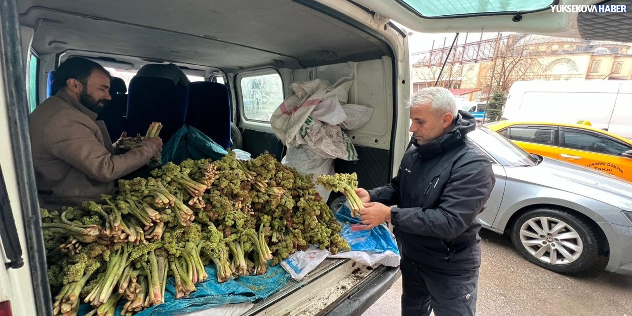 Yüksekova’da uçkun satışa sunuldu