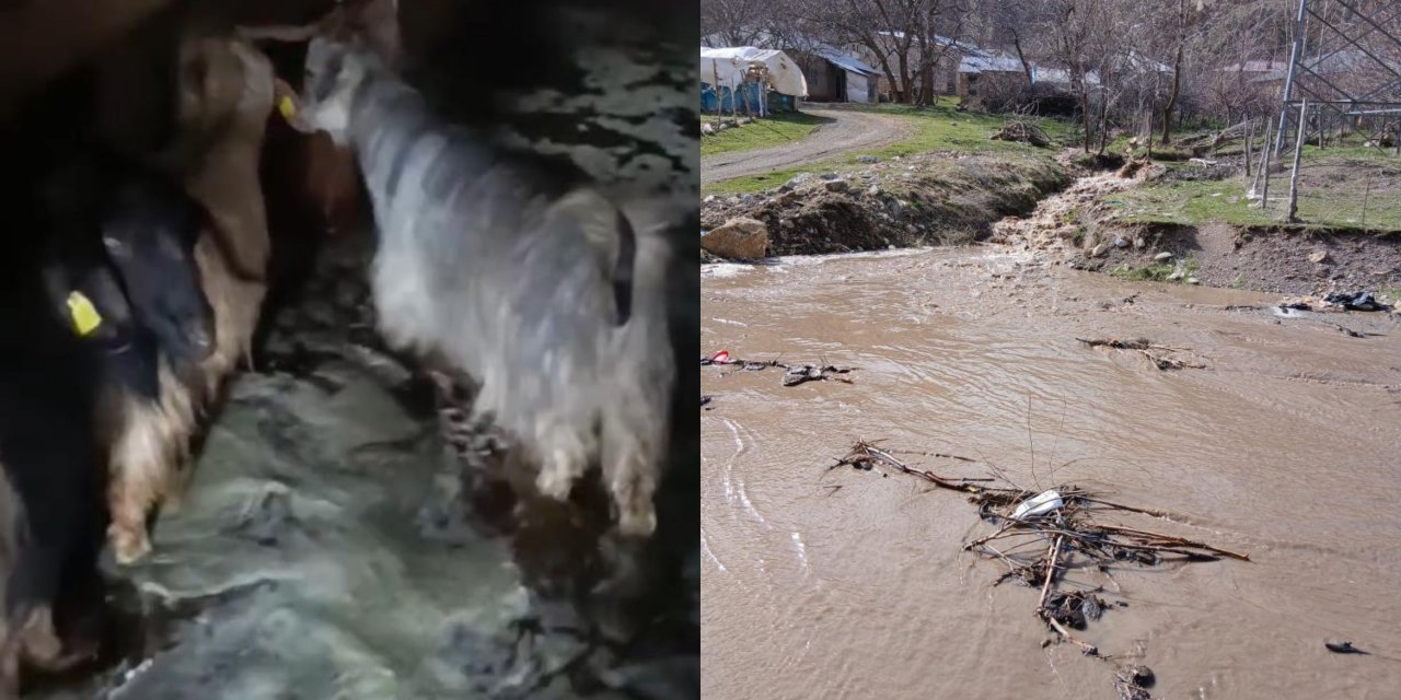 Yüksekova’da ahırları su bastı