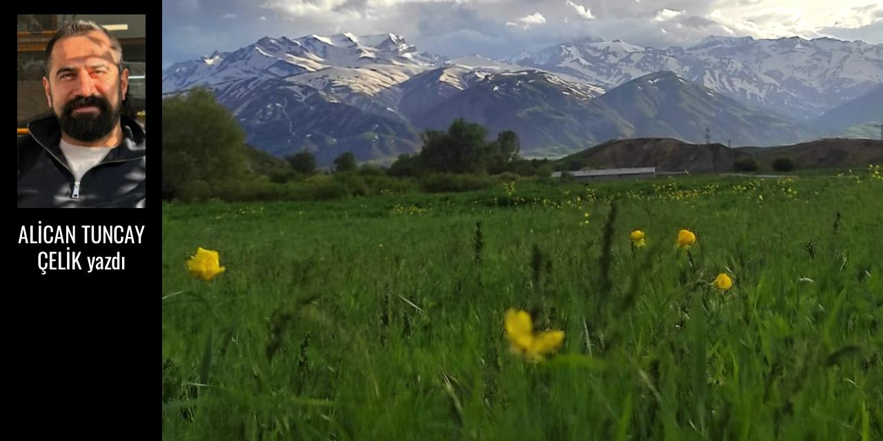 Gelin, Yüksekova'da baharı birlikte başlatalım! | Alican Tuncay Çelik
