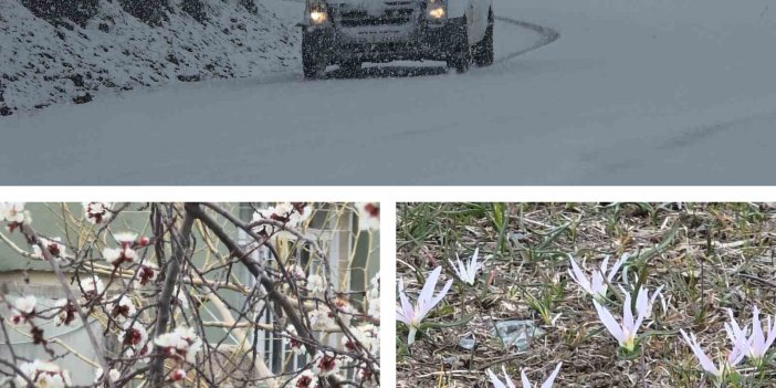 Van’da bir yanda bahar, diğer yanda kış