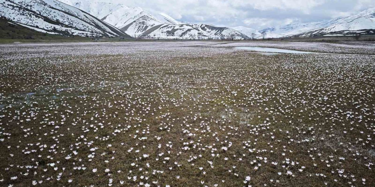 Güzeldere Vadisi’nde bahar şöleni