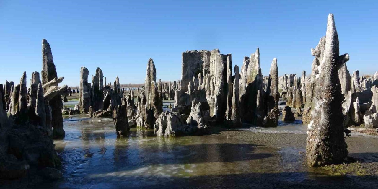 Van Gölü’nün mikrobiyalitleri Guinness için ön elemeyi geçti