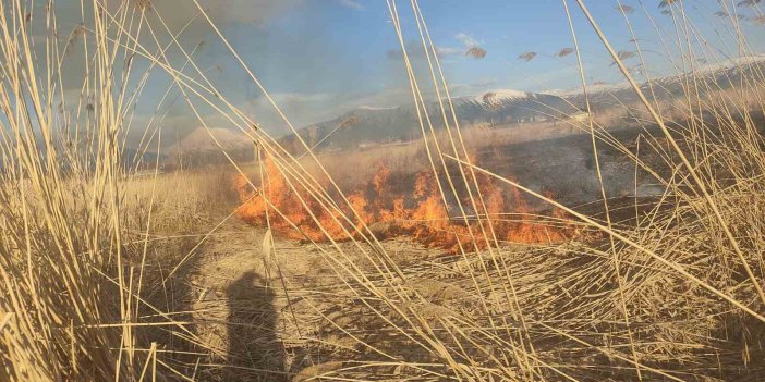 Muradiye'de sazlık yangını