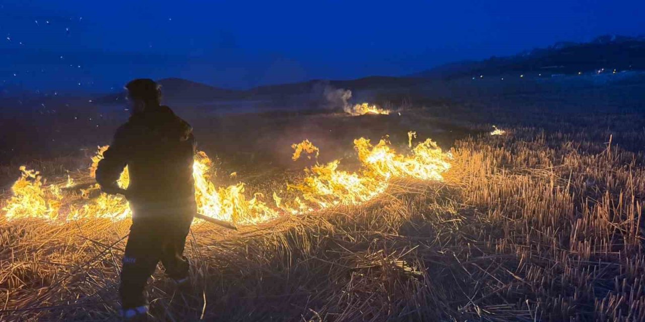 Van’da 2 farklı sazlık alanda yangın çıktı
