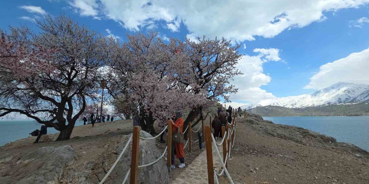 Akdamar Adası’nda renk cümbüşü