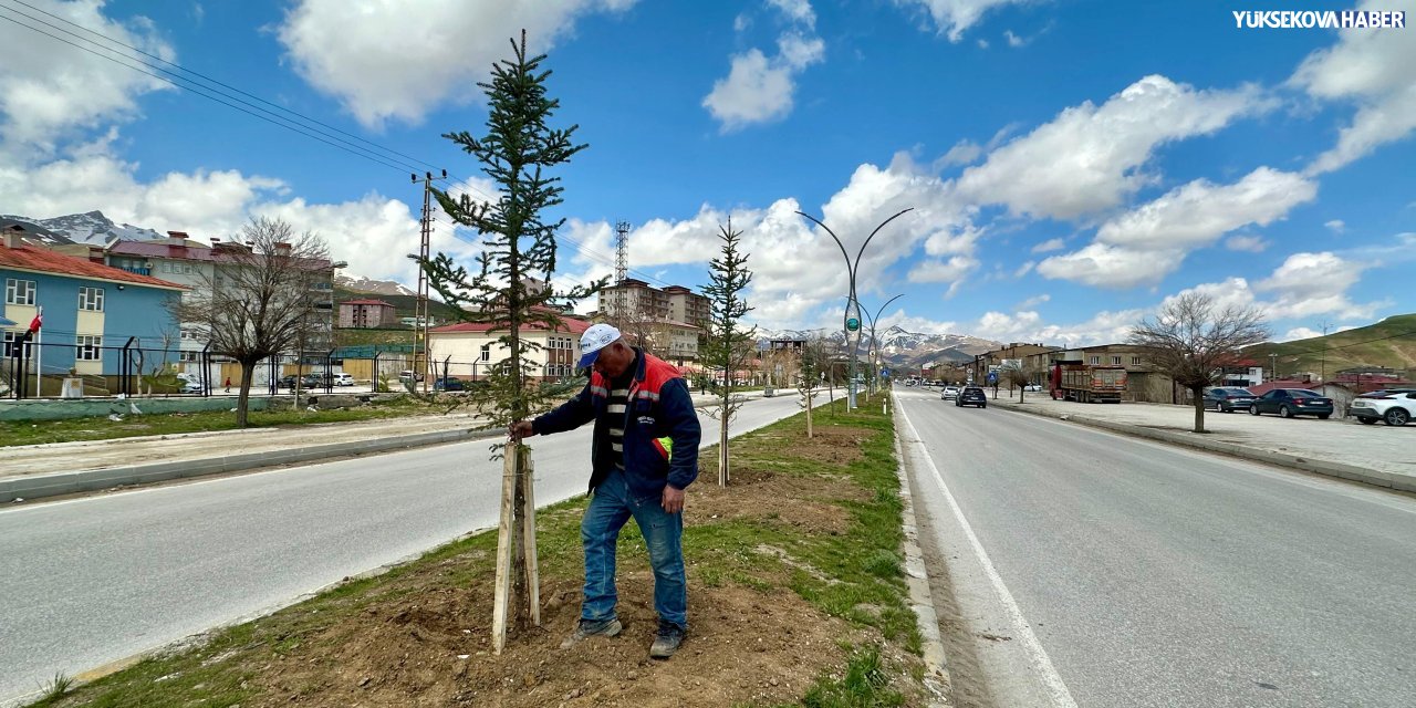 İpekyolu Caddesi’nde fidanlar toprakla buluştu