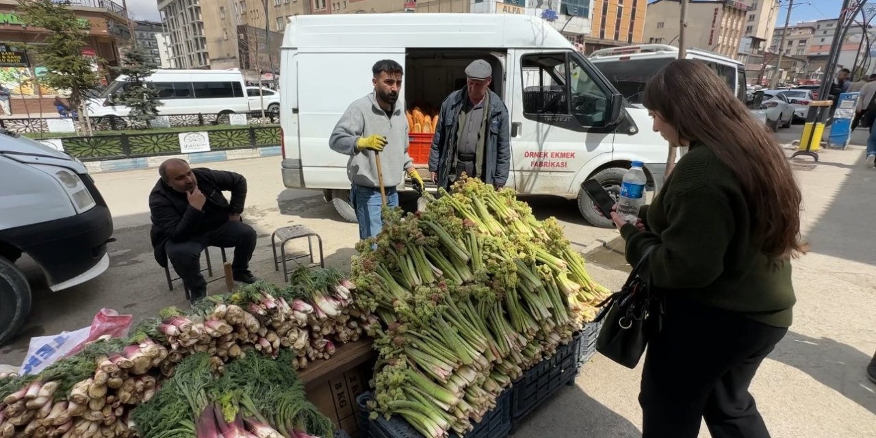 Yüksekova’da ‘yayla muzu’ mesaisi başladı