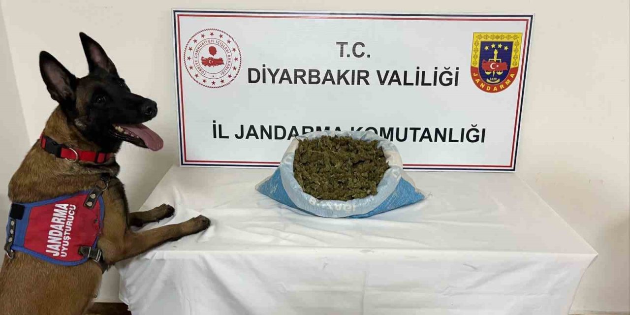 Diyarbakır’da 23 kilo esrar ele geçirildi