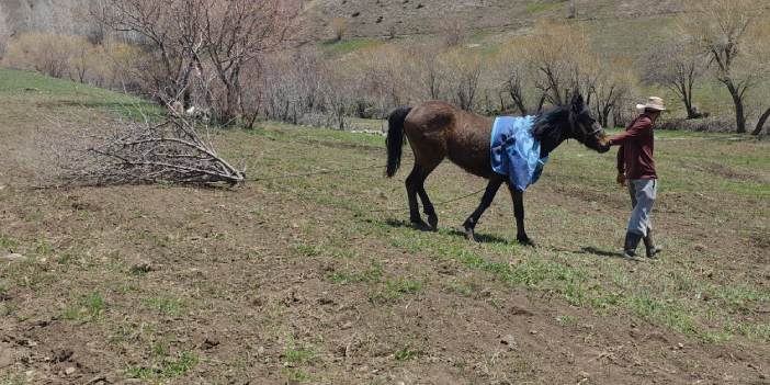 Yüksekova’da çiftçi traktör yerine atla tarlaya girdi