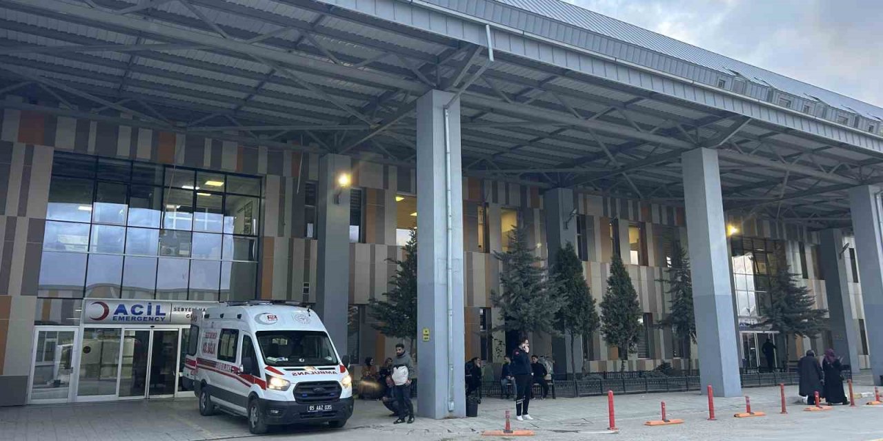 Van’da köpeklerin saldırdığı 5 yaşındaki çocuk hayatını kaybetti