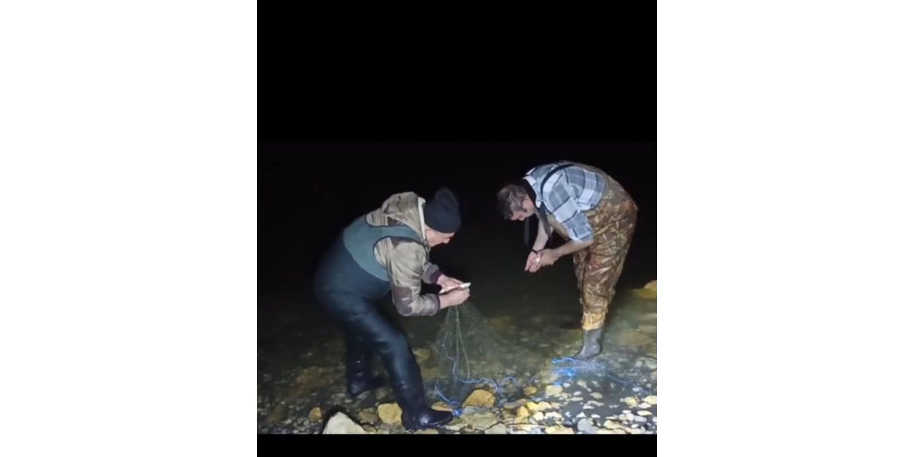 Van'da kaçak avlanan 100 kilo inci kefali tekrar suya bırakıldı