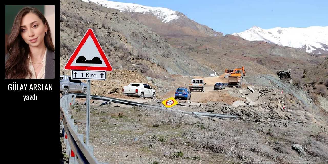 Bir yol değil, bir bağ koptu - Gülay Arslan yazdı