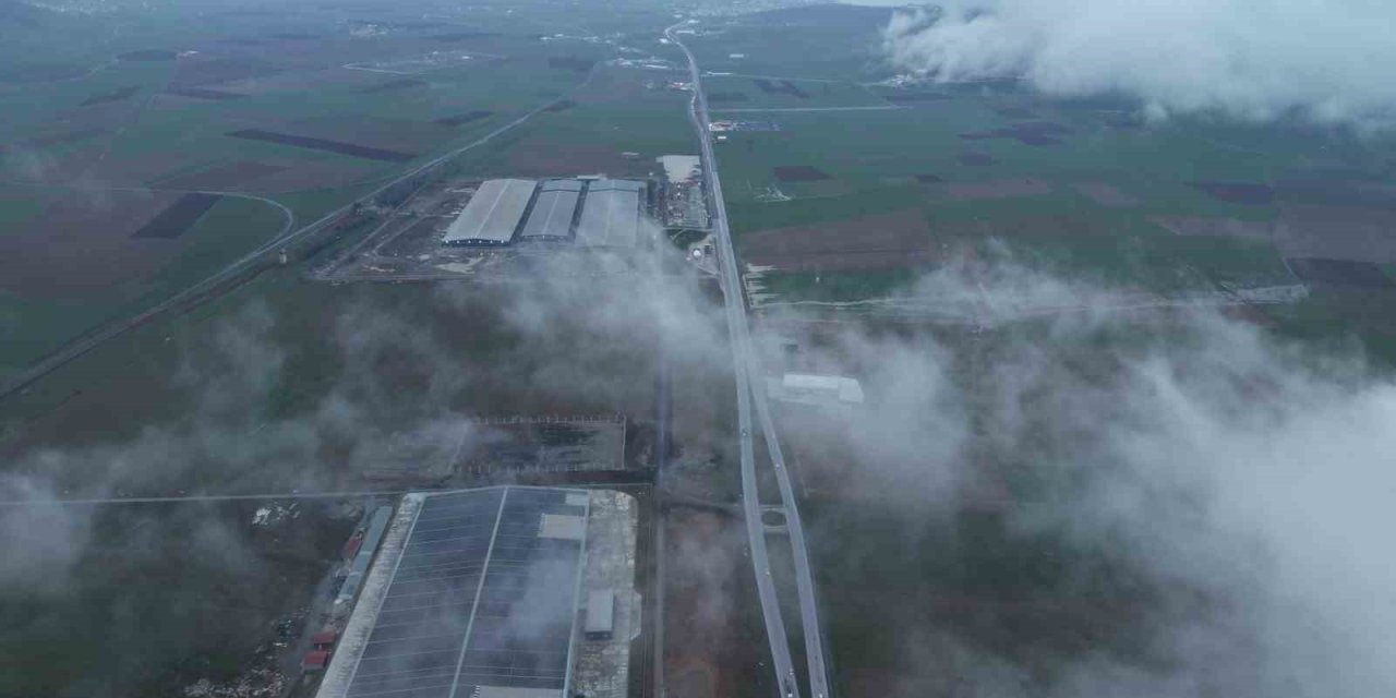 Bitlis’te yoğun sis etkili oldu