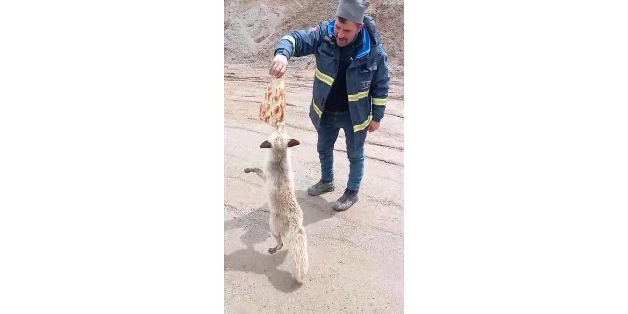 Bitlis’te maden sahasında dikkat çeken dostluk