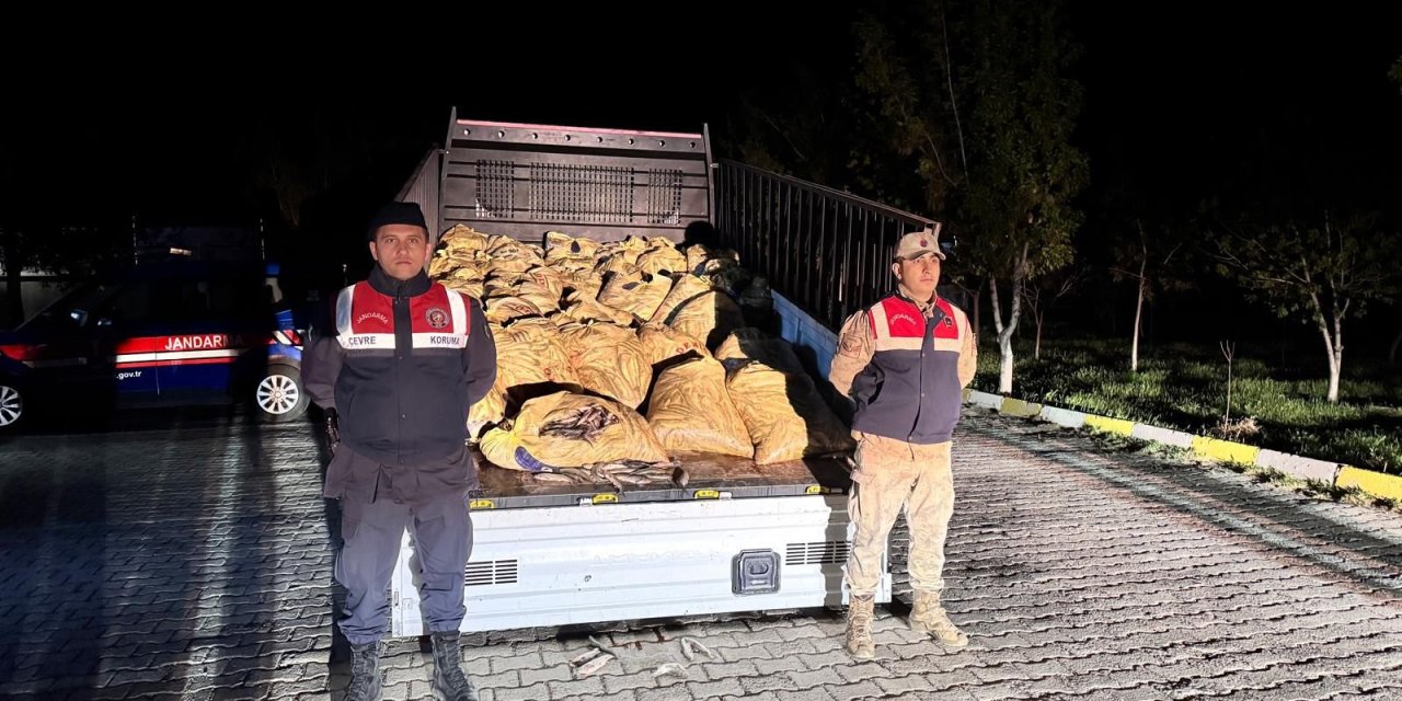 Van'da kaçak avlanma yapan 7 kişi suçüstü yakalandı