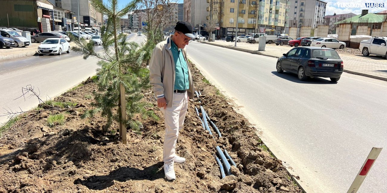 Yüksekova’da yeşillendirme çalışmaları hız kazandı
