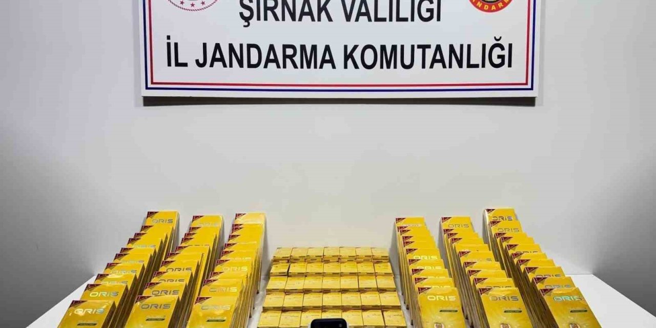 Şırnak’ta jandarmadan asayiş, kaçakçılık ve narkotik operasyonu yapıldı