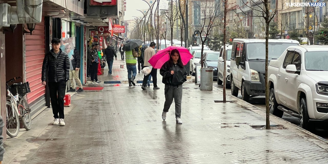 Yüksekova’da mayıs yağmuru etkili oldu