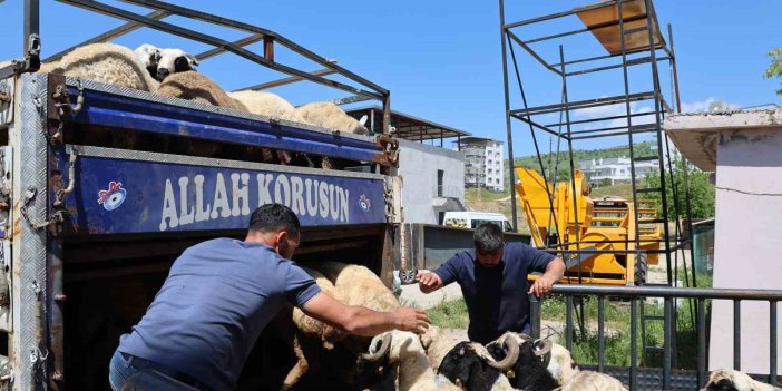 Diyarbakır’dan şehir dışına kurbanlık sevki sürüyor