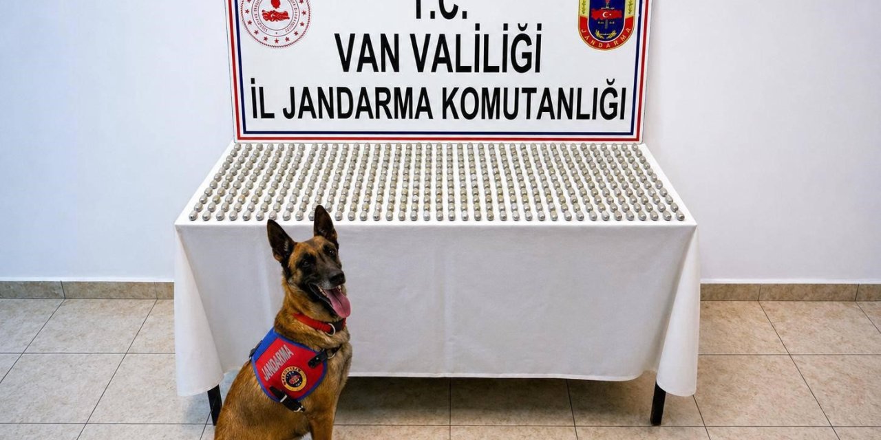 Van’da 8 İranlının midesinde 3 kilo esrar ele geçirildi