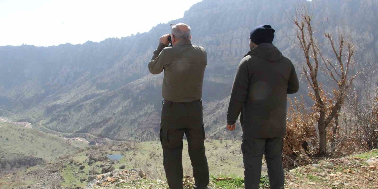 Şırnak’ta kaçak avcılığa dronlu takip