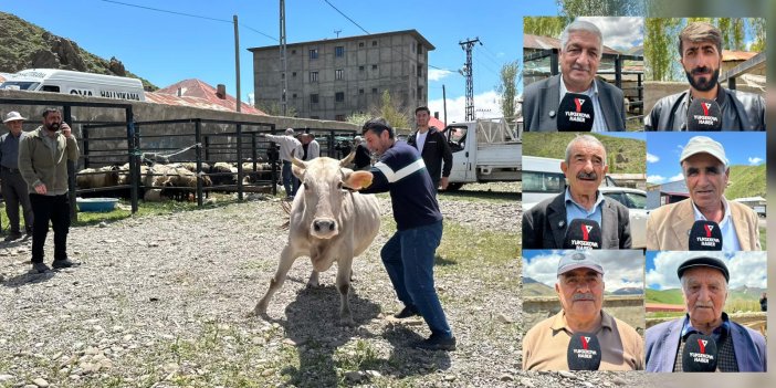 Yüksekova’da kurban pazarı hareketlendi: Besiciler maliyetlerden, vatandaşlar fiyatlardan dertli