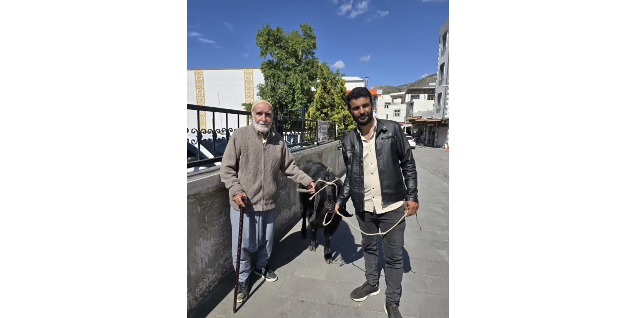 70 kiloluk dev keçi 36 bin liraya satıldı
