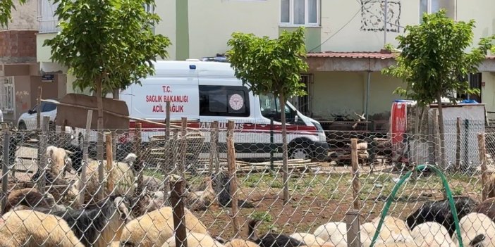 Kasaplardan Kurban Bayramı öncesi uyarı