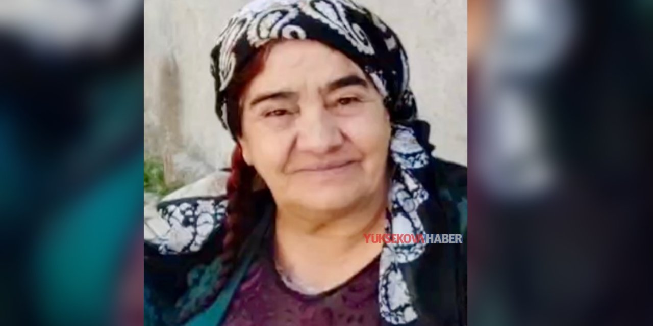 Yüksekova’da Begihan Kartal hayatını kaybetti