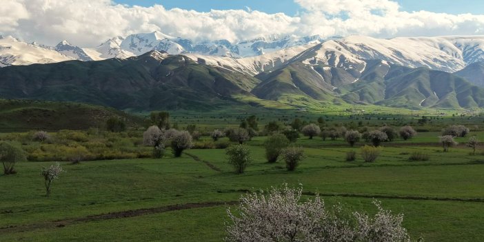 Yüksekova’da ova yeşerdi, zirveler beyazlığını korudu