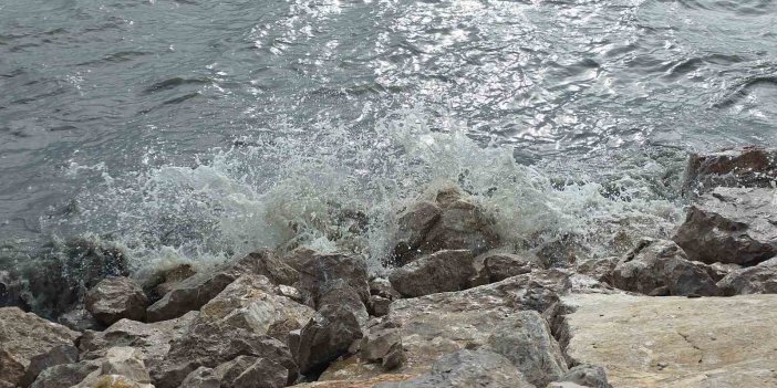 Van Gölü’nde şiddetli rüzgar etkili oldu, dalgalar kıyıları vurdu