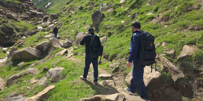 Bitlis yaylalarında çiriş otu mesaisi sürüyor