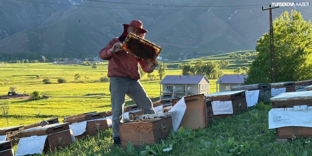 Öğretmen oğlunu ziyarete geldi, Yüksekova’da arıcılığa başladı