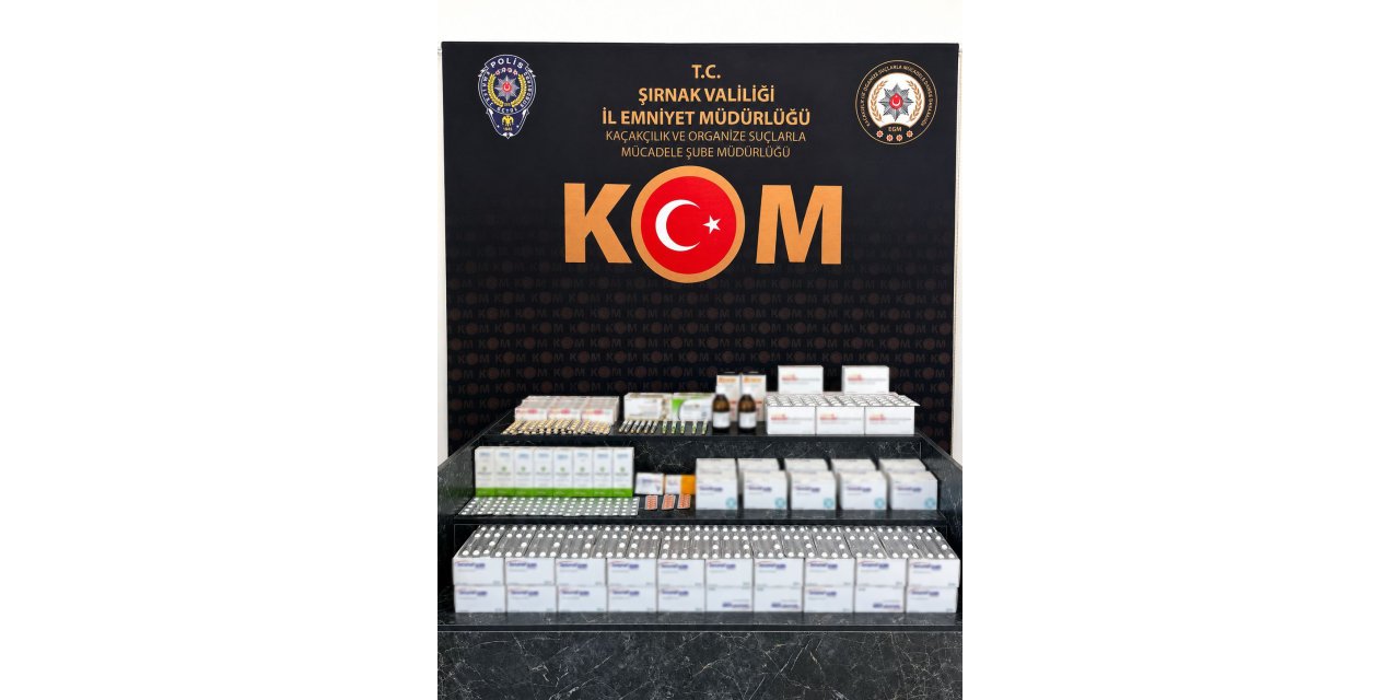 Şırnak’ta kaçak ilaç ve serumlar ele geçirildi