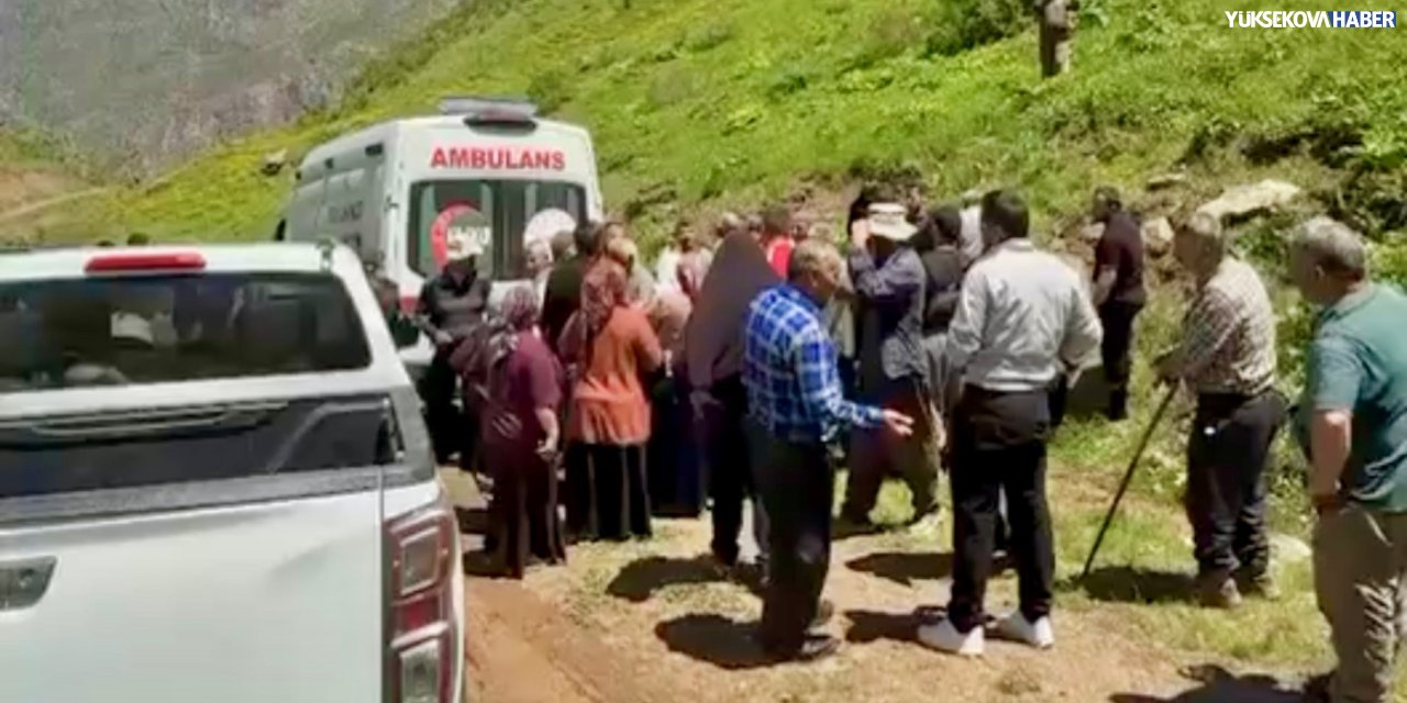 Hakkari’de pancar toplamaya giden vatandaşı yılan soktu
