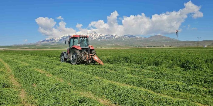 Bitlis'te ot biçme sezonu başladı