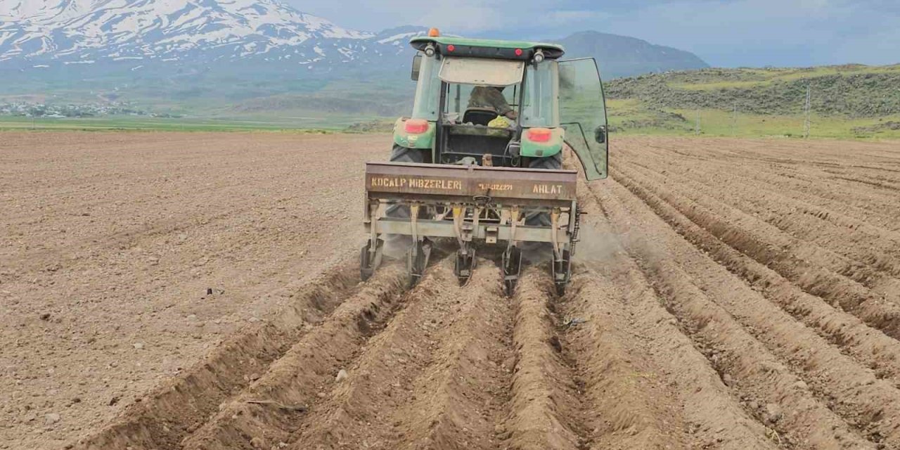 Bitlis'te fasulye ekimi başladı