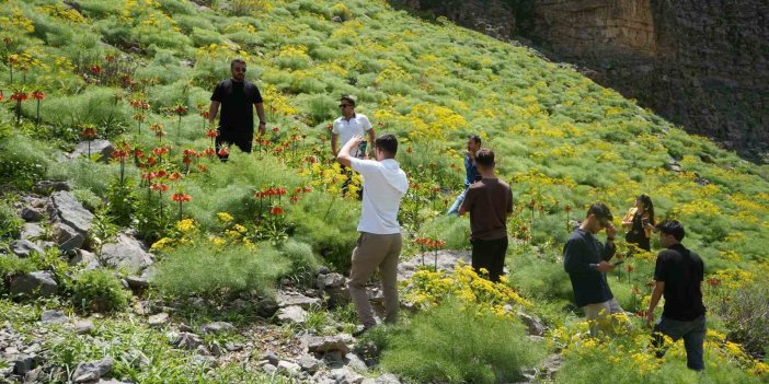 Şırnak’ın saklı cennetinde ters laleler hayran bıraktı