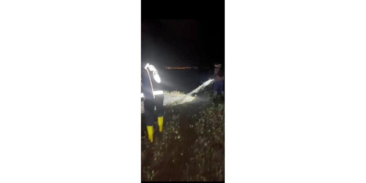 Van'da kaçak avlanan 400 kilo inci kefali suya bırakıldı