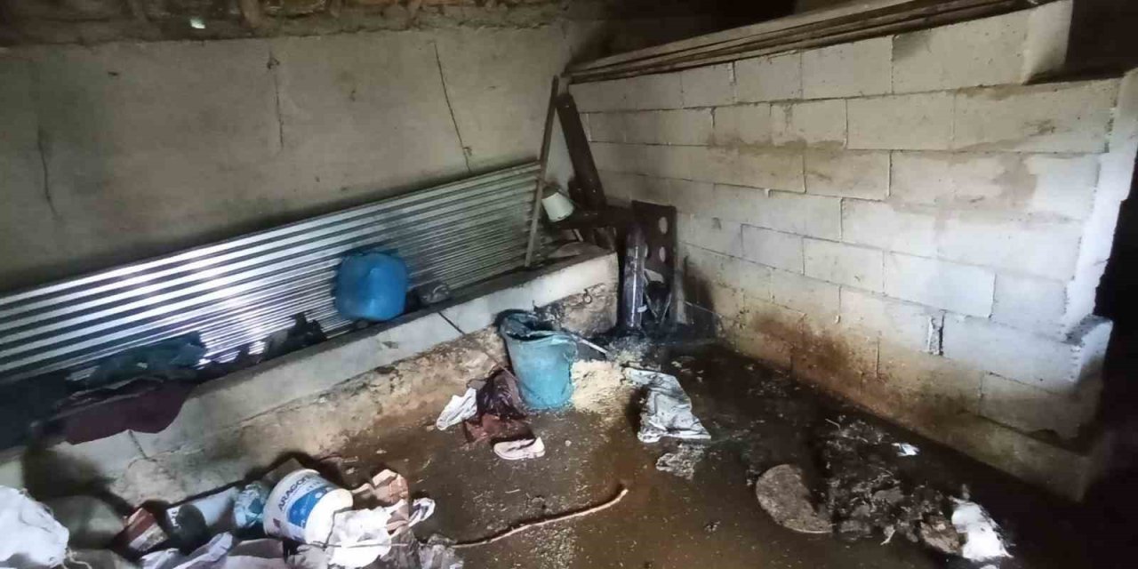 Muradiye’de ev ve ahır yangını korkuttu
