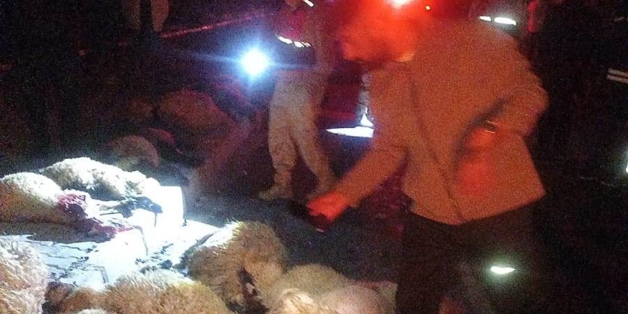 Van’da araç koyun sürüsüne çarptı: 17 koyun telef oldu