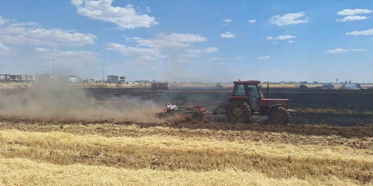 Mardin’de 80 dönüm buğday ekili alan kül oldu