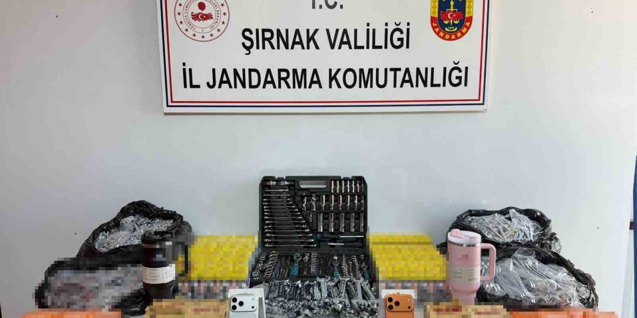 Şırnak’ta jandarma 104 şüpheli hakkında işlem yaptı